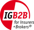 IG B2B Logo